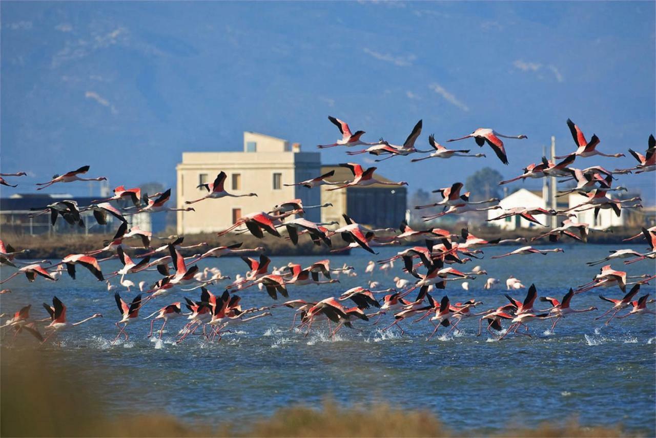 דלטברה Mi Apartamento En El Delta Del Ebro+ מראה חיצוני תמונה