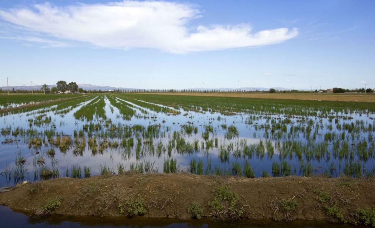 דלטברה Mi Apartamento En El Delta Del Ebro+ מראה חיצוני תמונה
