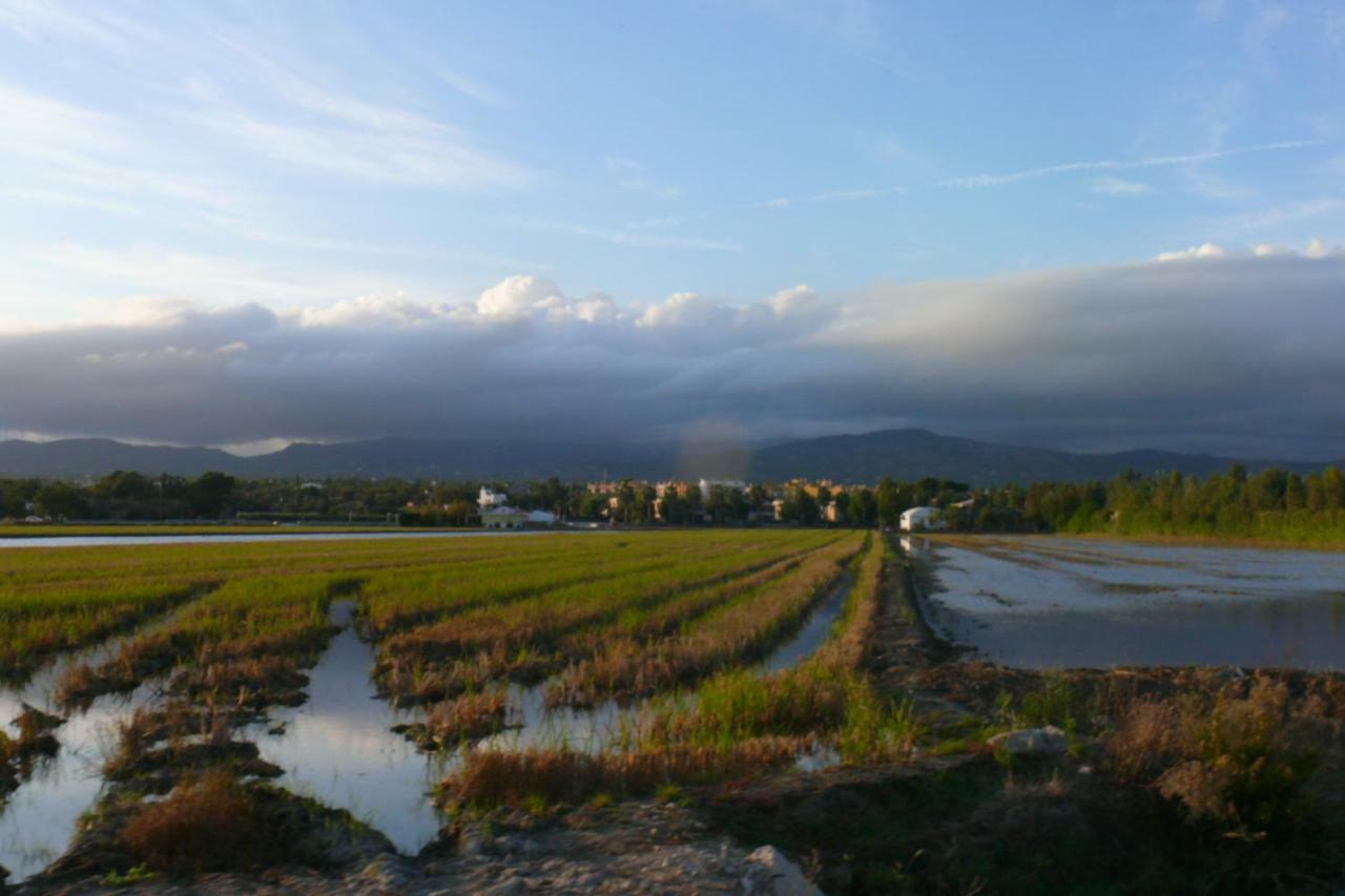 דלטברה Mi Apartamento En El Delta Del Ebro+ מראה חיצוני תמונה